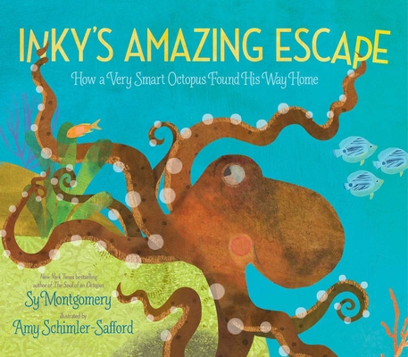 Inky's Amazing Escape: How a Very Smart Octopus Found His Way Home By Sy Montgomery, Amy Schimler-Safford (Illustrator) Cover Image