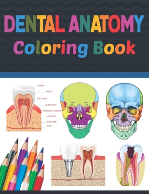 Download Dental Anatomy Coloring Book Fun And Easy Dental Teeth Anatomy Coloring Book Learn The Dental Teeth Anatomy With Fun Easy Dental Teeth Anato Paperback Crow Bookshop