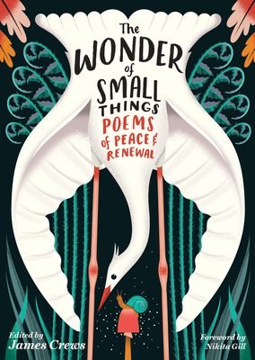 The Wonder of Small Things: Poems of Peace and Renewal By James Crews, Nikita Gill (Foreword by) Cover Image