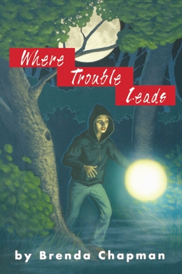Where Trouble Leads: A Jennifer Bannon Mystery By Brenda Chapman Cover Image