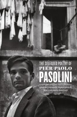 The Selected Poetry of Pier Paolo Pasolini: A Bilingual Edition By Pier Paolo Pasolini, Stephen Sartarelli (Editor), James Ivory (Foreword by) Cover Image