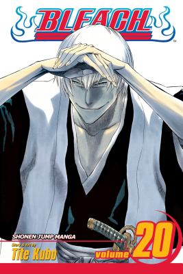 Bleach Vol Paperback Hudson Booksellers