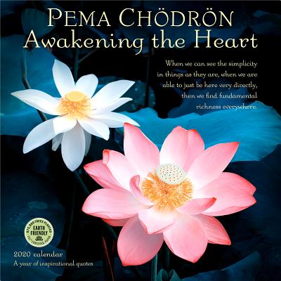 Pema Chodron 2020 Wall Calendar: Awakening the Heart By Pema Chodron, Amber Lotus Publishing (Designed by) Cover Image