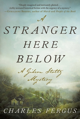 A Stranger Here Below: A Gideon Stoltz Mystery (Gideon Stoltz Mystery Series) Cover Image