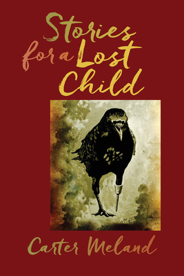 Stories for a Lost Child (American Indian Studies) By Carter Meland Cover Image