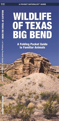 Wildlife of Texas Big Bend: A Folding Pocket Guide to Familiar Animals (Pocket Naturalist Guide) By Waterford Press Cover Image