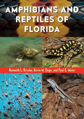 Amphibians and Reptiles of Florida By Kenneth L. Krysko (Editor), Kevin M. Enge (Editor), Paul E. Moler (Editor) Cover Image