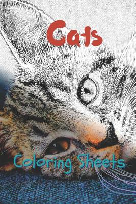 Cat Coloring Sheets: 30 Cat Drawings, Coloring Sheets Adults Relaxation, Coloring Book for Kids, for Girls, Volume 3 By Julian Smith Cover Image