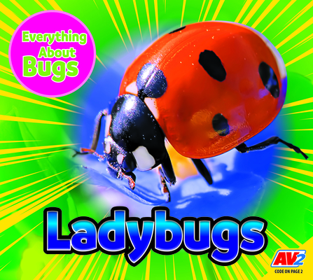 Ladybugs (Everything about Bugs)