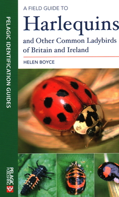 A Field Guide to Harlequins and Other Common Ladybirds of Britain and Ireland By Helen Boyce Cover Image