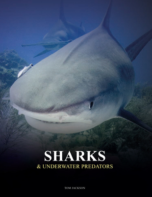Sharks & Underwater Predators Cover Image