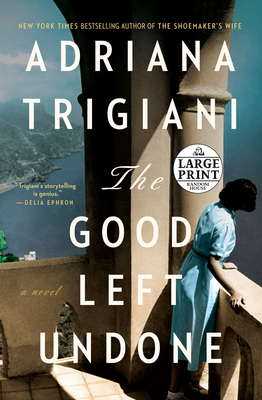 The Good Left Undone: A Novel Cover Image