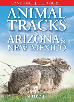 Animal Tracks of Arizona & New Mexico By Ian Sheldon, Gary Ross (Illustrator), Horst Krause (Illustrator) Cover Image