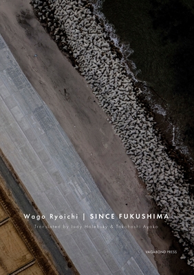 Since Fukushima Cover Image