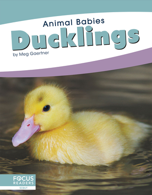 Ducklings (Animal Babies) Cover Image