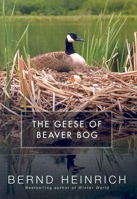 Cover for The Geese of Beaver Bog