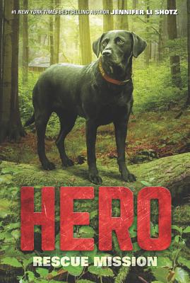 Hero: Rescue Mission Cover Image