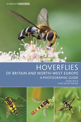 Hoverflies of Britain and North-west Europe: A photographic guide (Bloomsbury Naturalist)