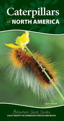 Caterpillars of North America: Easily Identify 90 Common Butterflies and Moths (Adventure Quick Guides)