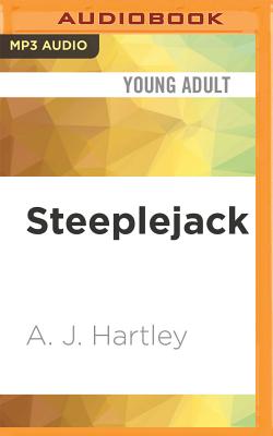 Steeplejack Cover Image