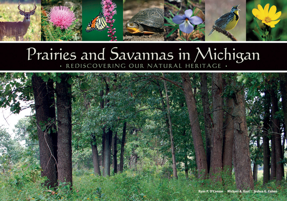 Prairies and Savannas in Michigan: Rediscovering Our Natural Heritage Cover Image