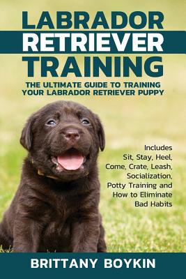 Labrador Retriever Training: The Ultimate Guide to Training Your Labrador Retriever Puppy: Includes Sit, Stay, Heel, Come, Crate, Leash, Socializat By Brittany Boykin Cover Image