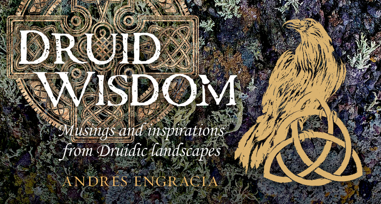 Druid Wisdom: 40 full-color inspiration cards (Mini Inspiration Cards) By Andres Engracia Cover Image
