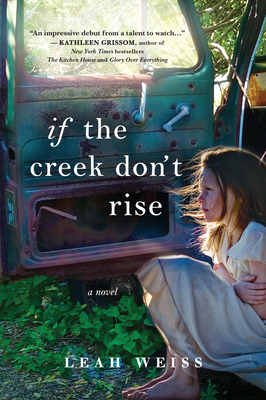 Cover Image for If the Creek Don't Rise: A Novel