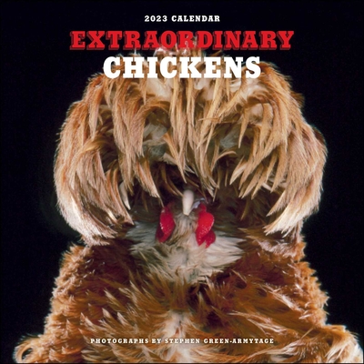 Extraordinary Chickens 2023 Wall Calendar By Stephen Green-Armytage Cover Image