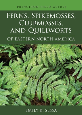 Ferns, Spikemosses, Clubmosses, and Quillworts of Eastern North America (Princeton Field Guides #150)