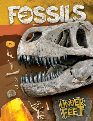 Fossils Cover Image
