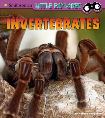 Invertebrates: A 4D Book By Melissa Ferguson Cover Image