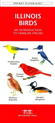 Indiana Birds: An Introduction to Familiar Species (Pocket Naturalist Guide) Cover Image