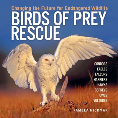 Birds of Prey Rescue: Changing the Future for Endangered Wildlife (Firefly Animal Rescue)