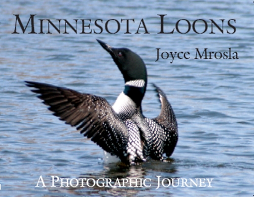 Cover for Minnesota Loons