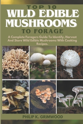 Top 10 Wild Edible Mushrooms to Forage A Complete Foragers Guide