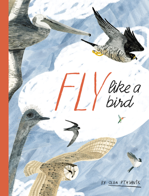 Fly Like a Bird (Spectacular Steam for Curious Readers (Sscr