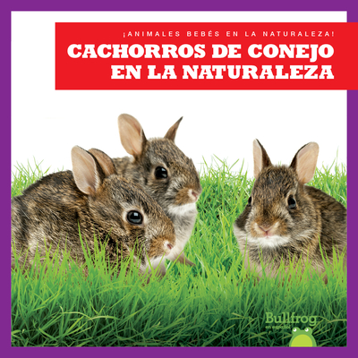 Cachorros de Conejo En La Naturaleza (Rabbit Kits in the Wild) Cover Image