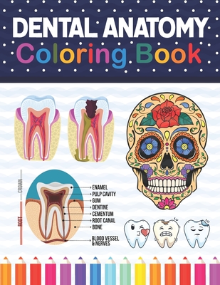 Dental Anatomy Coloring Book: Learn the Basics of Dental Anatomy. Dental Anatomy Coloring Book for Cute Children's, Kids, Boys, Girls, Dental Assist Cover Image