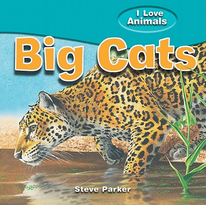 i love animals book