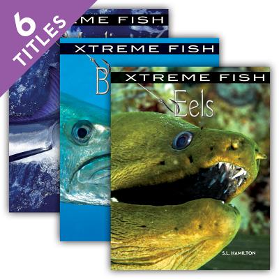 Xtreme Fish (Set) Cover Image