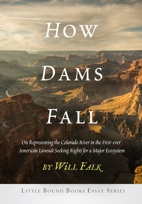 Cover for How Dams Fall