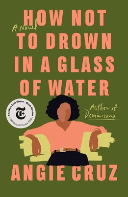 How Not to Drown in a Glass of Water: A Novel Cover Image