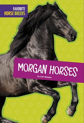Morgan Horses (Favorite Horse Breeds)