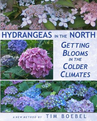 Hydrangeas in the North: Getting Blooms in the Colder Climates By Tim Boebel Cover Image