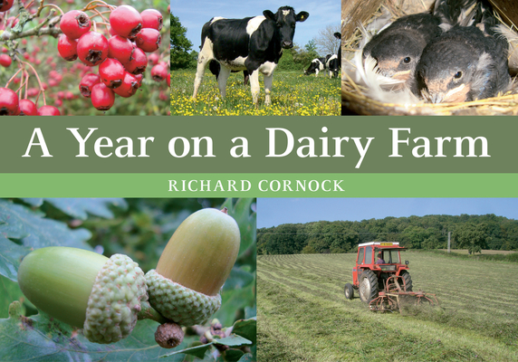 A Year on a Dairy Farm By Richard Cornock Cover Image