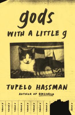 gods with a little g: A Novel Cover Image