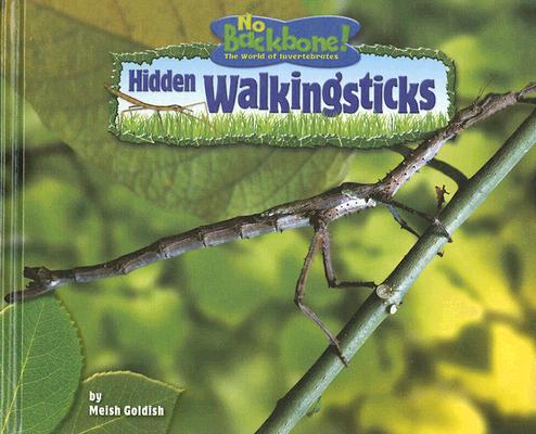 Hidden Walkingsticks By Meish Goldish Cover Image