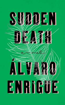 Cover Image for Sudden Death: A Novel