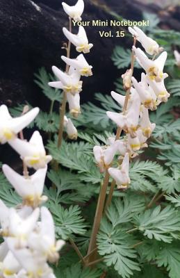 Your Mini Notebook! Vol. 15: Dutchman's Breeches! A pretty pair of pantaloons hanging on a clothesline.. By Mary Hirose Cover Image
